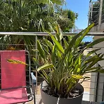 Beaurivage 1 Apartment